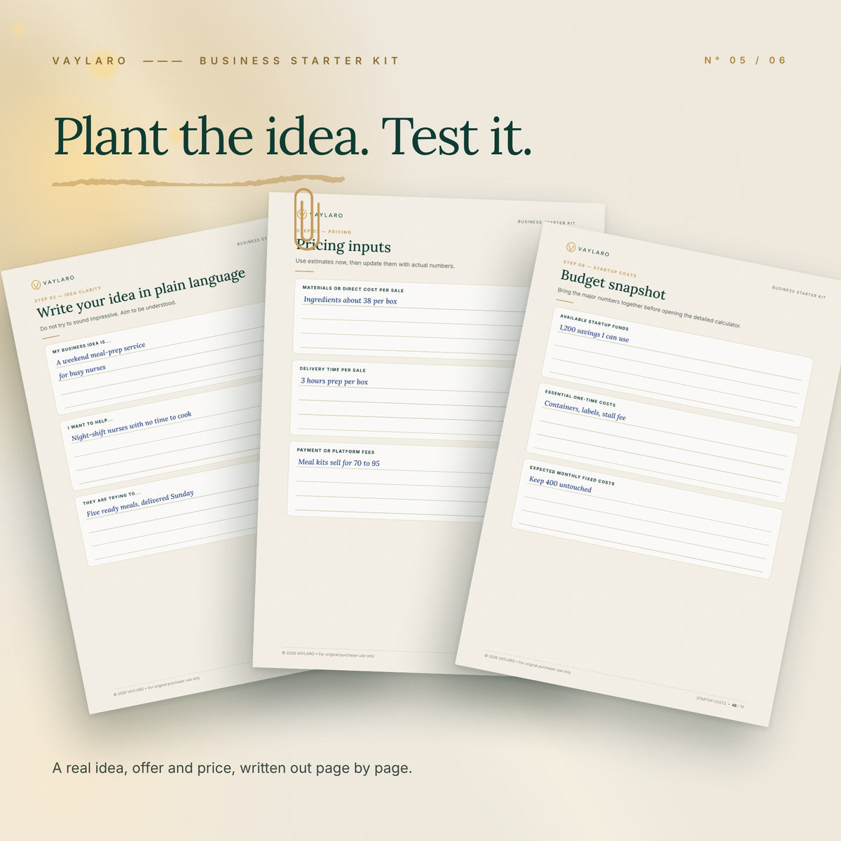 Business Starter Kit – filled pages